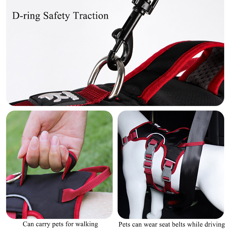 Coleira Peitoral Anti-Puxão pa - D Ring Strap avaliação e preço